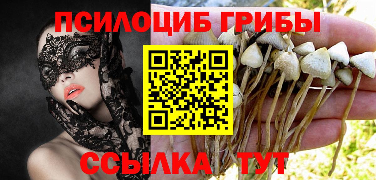 Галлюциногенные грибы прущие грибы Алексин