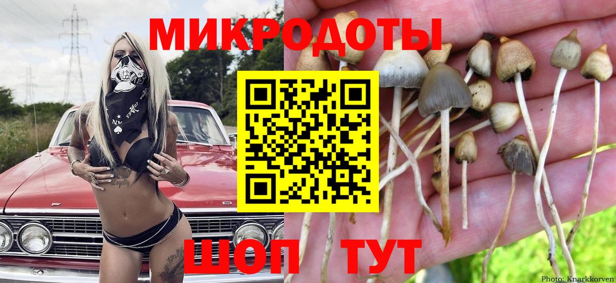 Псилоцибиновые грибы GOLDEN TEACHER  Вход с VPN  Алексин 